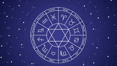 Explora los signos del zodíaco