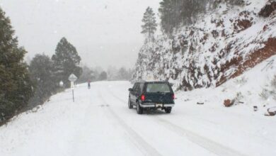 Tormenta invernal deja hermosas postales por nieve en norte de México 