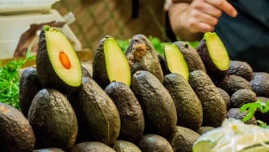 Aguacate y jitomate las frutas y hortalizas más exportadas en 2023