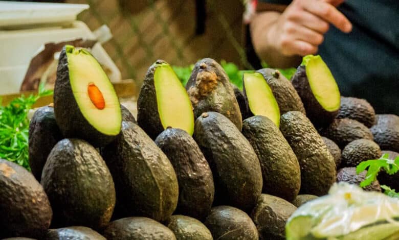 Aguacate y jitomate las frutas y hortalizas más exportadas en 2023