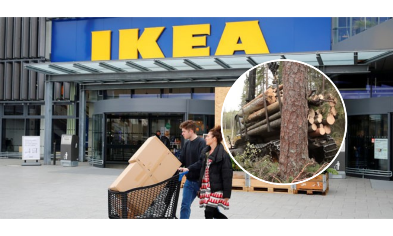 Ikea en el blanco de ecologistas por explotación de madera