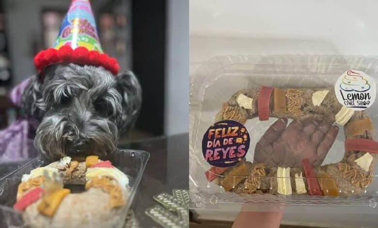 Crean adorable Rosca de Reyes para perros 