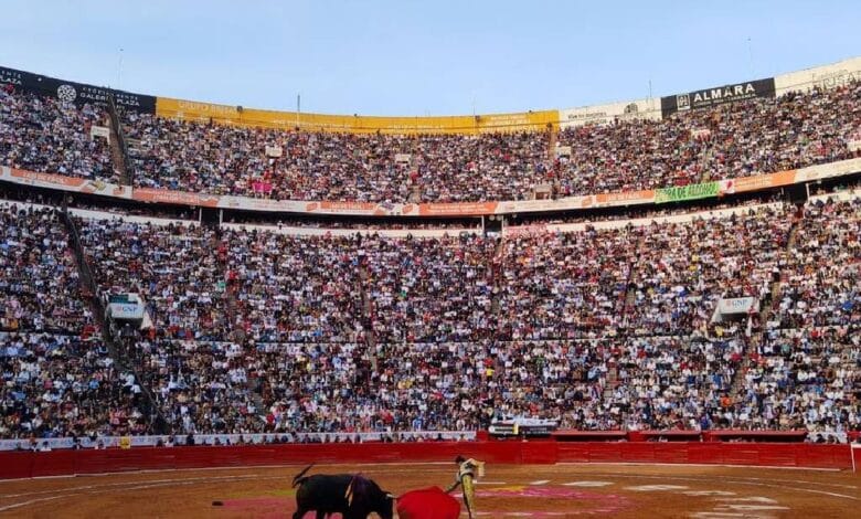 Corridas de toros: ¿Qué países y lugares han decidido prohibirla?