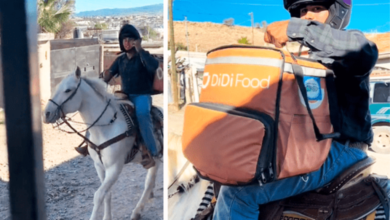 Repartidor de Delivery sorprende usando un caballo para entregas