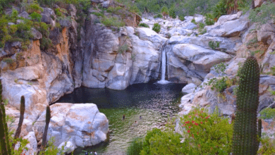 Conoce la cascada en el desierto de Baja California Sur, Sol de Mayo