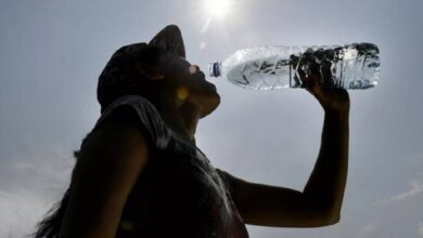 Ola de Calor en México: ¿cómo protegerse de temperaturas extremas?