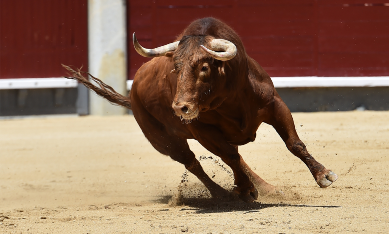 Tribunal revoca suspensión contra corrida de toros en Plaza México