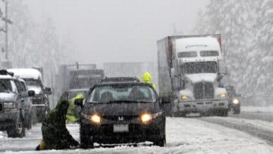 Vuelos y clases suspendidos en el noreste de EE. UU. debido a fuerte nevada