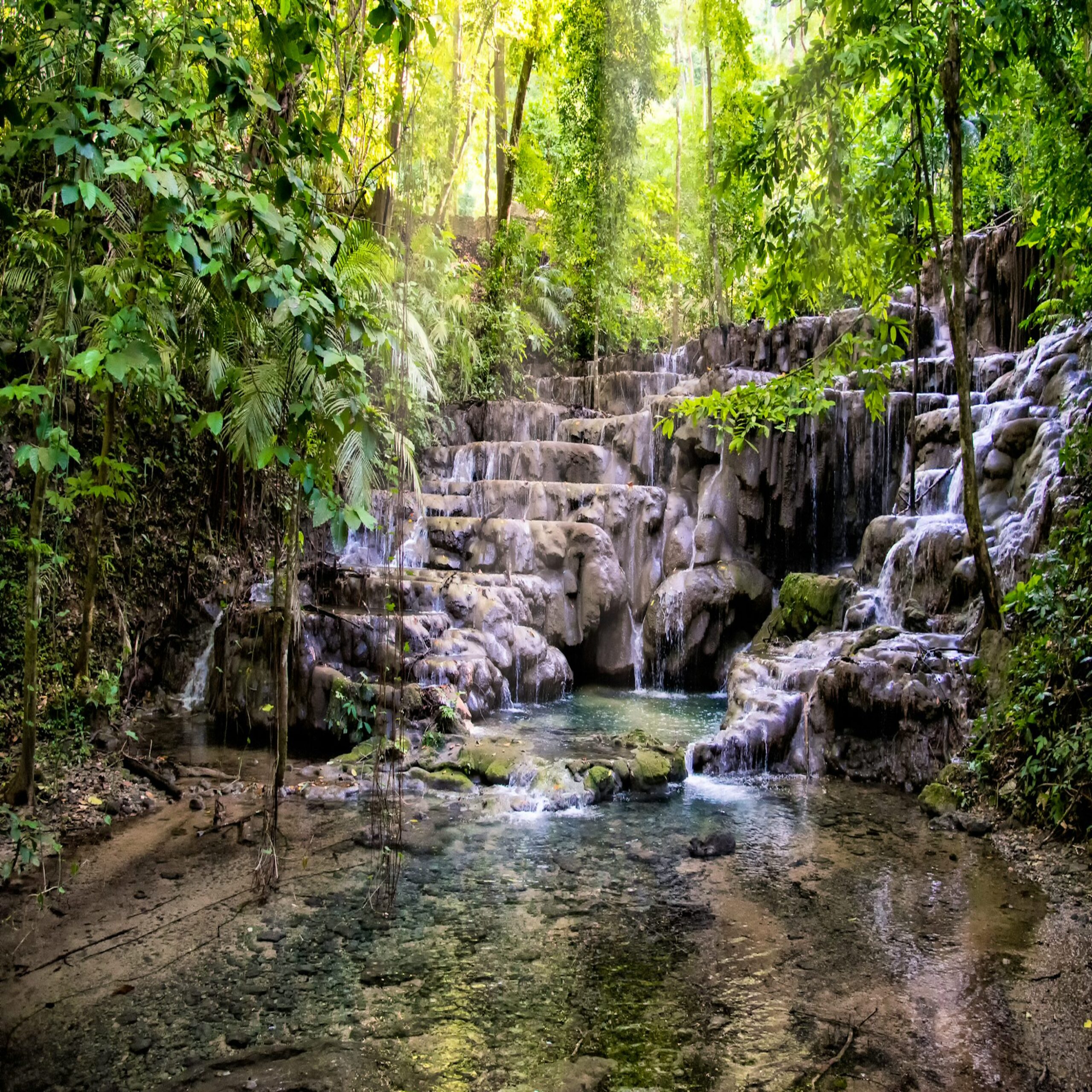 Parque Nacional Palenque