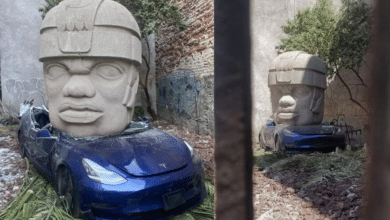 Misterio resuelto; este es el origen de la Cabeza Olmeca encontrada sobre un Tesla en La Roma