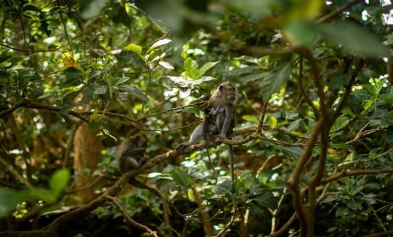 Ecoturismo en México, cinco destinos que no te puedes perder