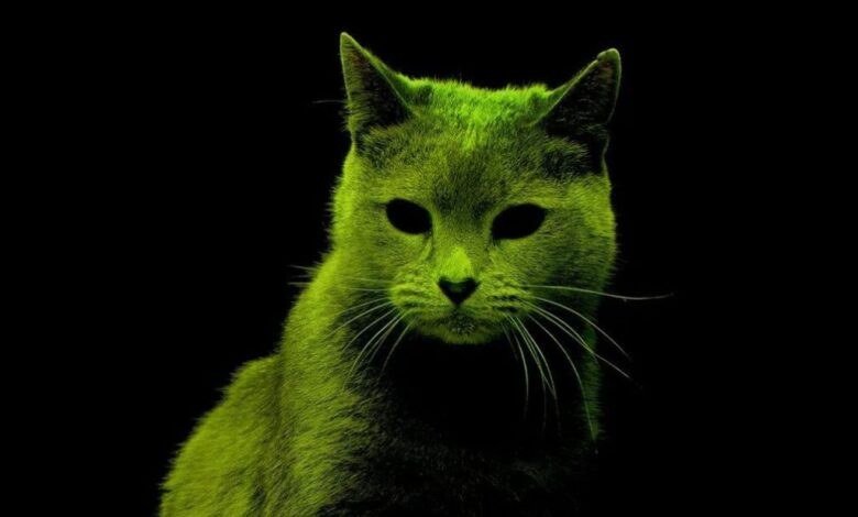 Gato radioactivo.