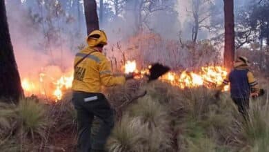 INCENDIOS.