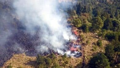 Incendios forestales