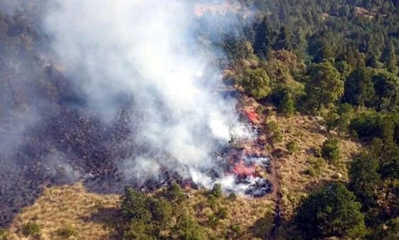 Incendios forestales