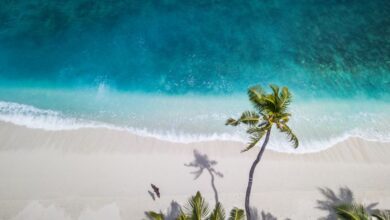 Las mejores playas de México y qué hacer en ellas