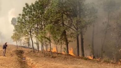 Incendio forestal en Oaxaca cumple 100 horas