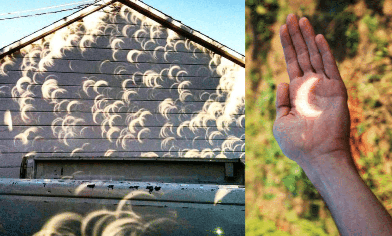 Conoce el "Efecto Pinhole", las pequeñas lunas que producen los Eclipses en las sombras