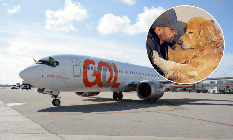 GOL suspende traslado de animales en bodega, tras la muerte del perrito Joca en un vuelo