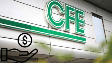 Deuda con proveedores de CFE crece 13.8%: IMCO