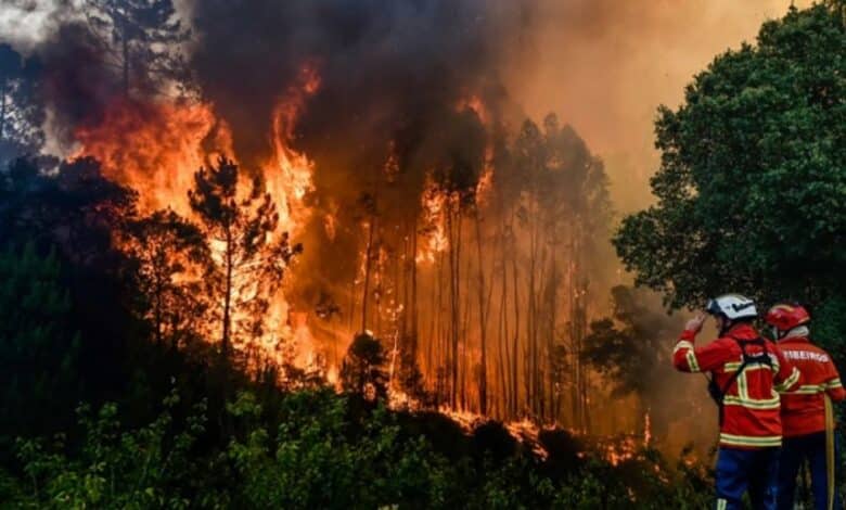 Proponen 25 años de cárcel a quien provoque adrede incendio forestal