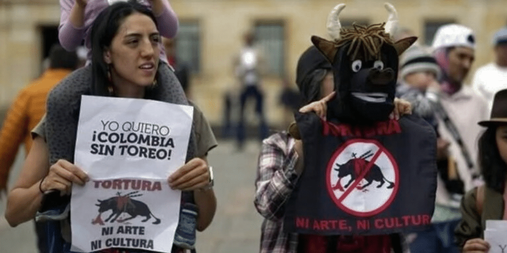 Aprueban Ley que prohíbe las corridas de toros en Colombia