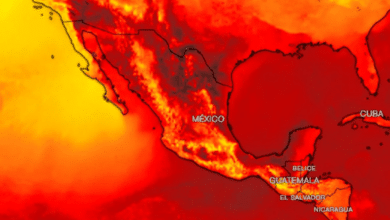 Clima hoy 20 de mayo; da inicio la tercera ola de calor en México