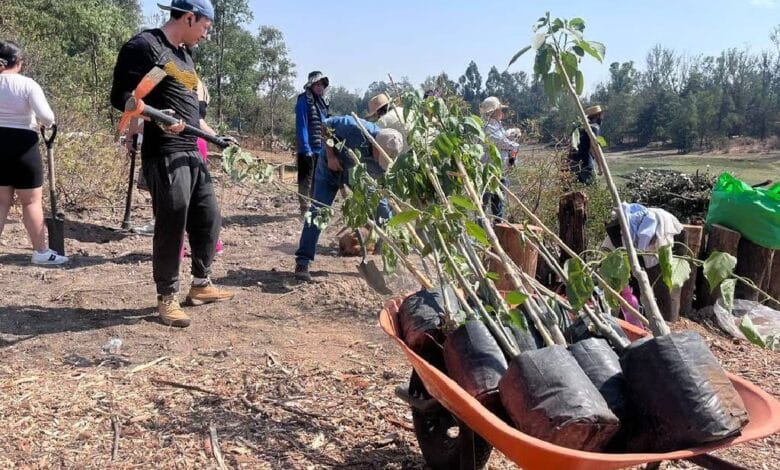 Recuperación del Lago de Guadalupe serviría como vaso regulador