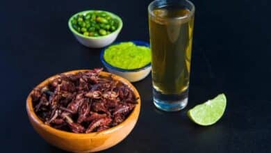 Chapulines: la botana típica por excelencia de México