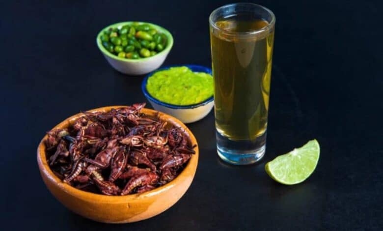 Chapulines: la botana típica por excelencia de México