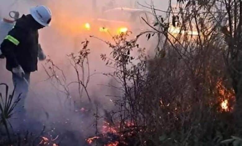 Incendios en reserva Río Lagartos en Yucatán causa afectaciones