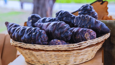 Mashua negra, el tubérculo ideal para acompañar carnes