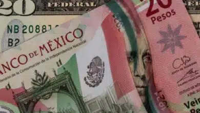 Peso sufre leve caída y cierra en 20.14 este lunes