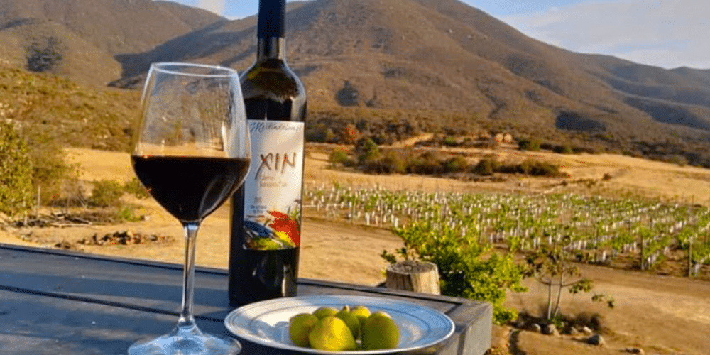 El Valle de Guadalupe El corazón del vino mexicano que conquista el mundo