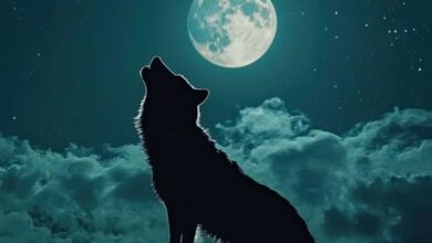 Luna de lobo 2025; consejos para verla este 13 de enero