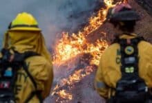 Las teorías de conspiración sobre origen de incendios en California