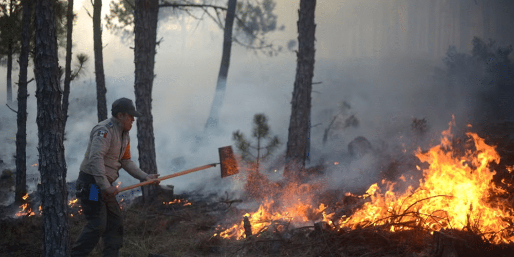 INCENDIO FORESTAL PUEBLA