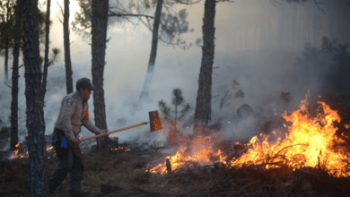 INCENDIO FORESTAL PUEBLA