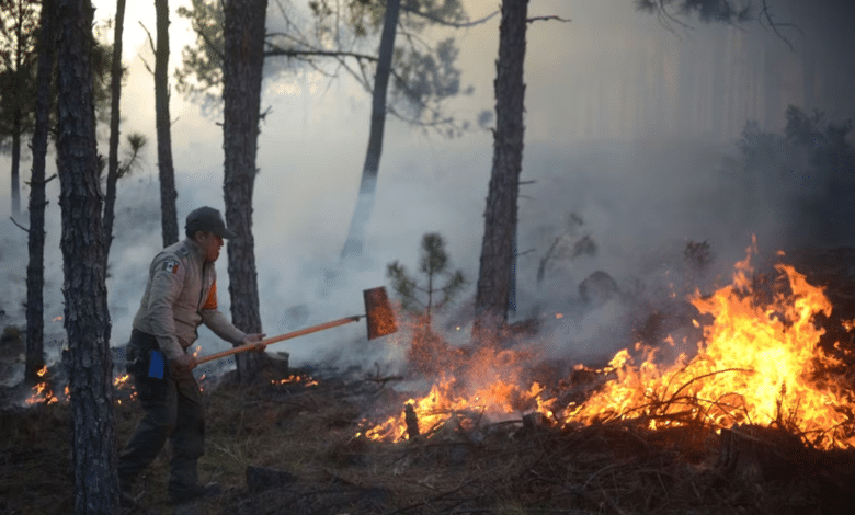 INCENDIO FORESTAL PUEBLA