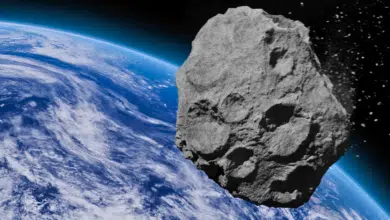 Asteroide 2024 YR4; la trayectoria la sigue en vivo la NASA