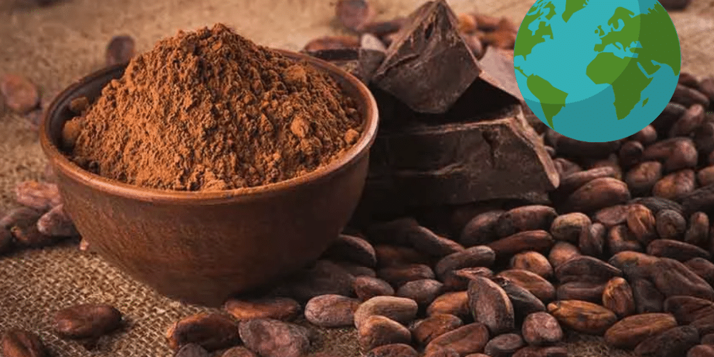 El origen del cacao y su impacto en la gastronomía mundial