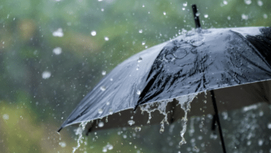 Fuertes vientos y lluvias en diversas regiones del país este 14 de febrero