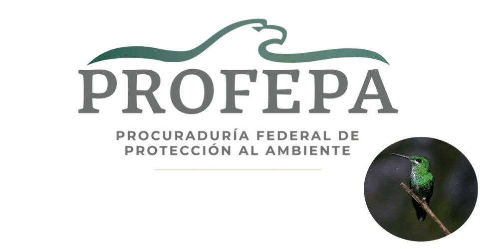 Logo de PROFEPA y colibrie