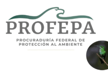 Logo de PROFEPA y colibrie