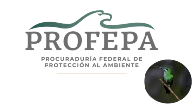 Logo de PROFEPA y colibrie