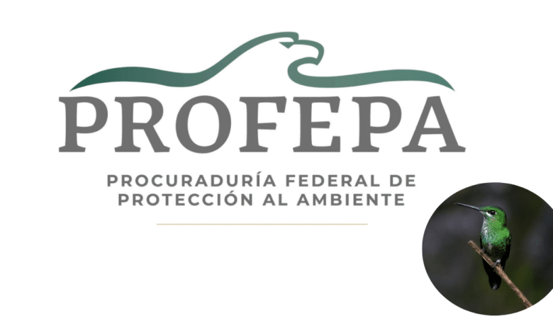 Logo de PROFEPA y colibrie