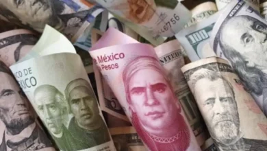 💵 ¡El dólar abre al alza este martes! 📈 Hoy, el precio del dólar inicia la jornada en 20.48 pesos, marcando un ligero aumento. ¿Qué impacto tendrá esta subida en los mercados y en el bolsillo de los mexicanos? 🤔