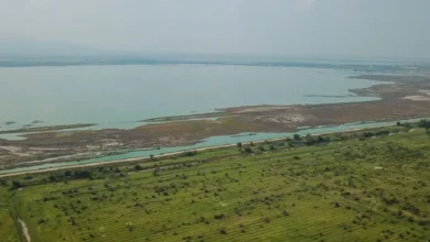 Unesco declara al Lago de Texcoco como sitio de Ecohidrología