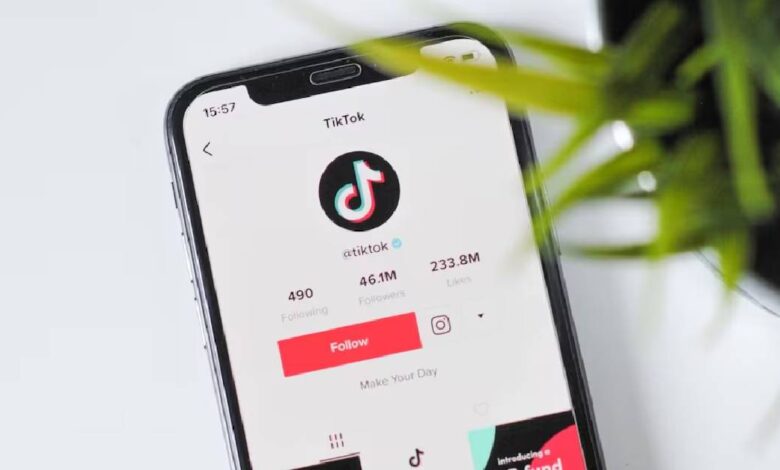 ¿No prohibirán la aplicación? TikTok regresa a Estados Unidos