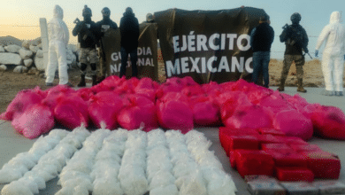 Elementos de seguridad de México asegurando material ilegal